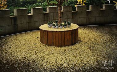 US Border Force: Inside Extensive Interviews for Cuban Asylum